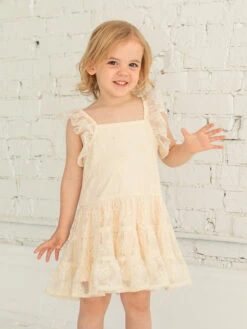 Vanilla Bean Embroidered Net Dress