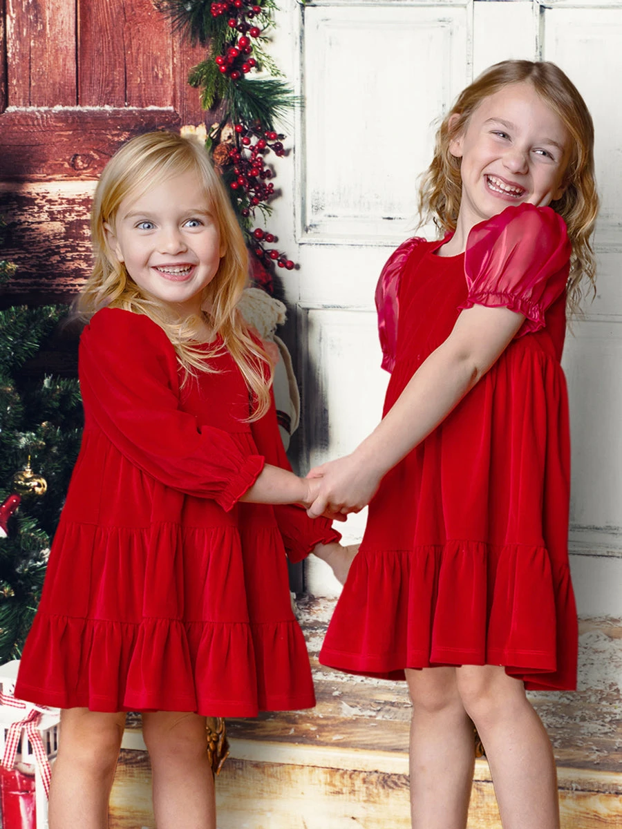 Noella Red Velvet Organza Short Sleeve Dress - Image 5