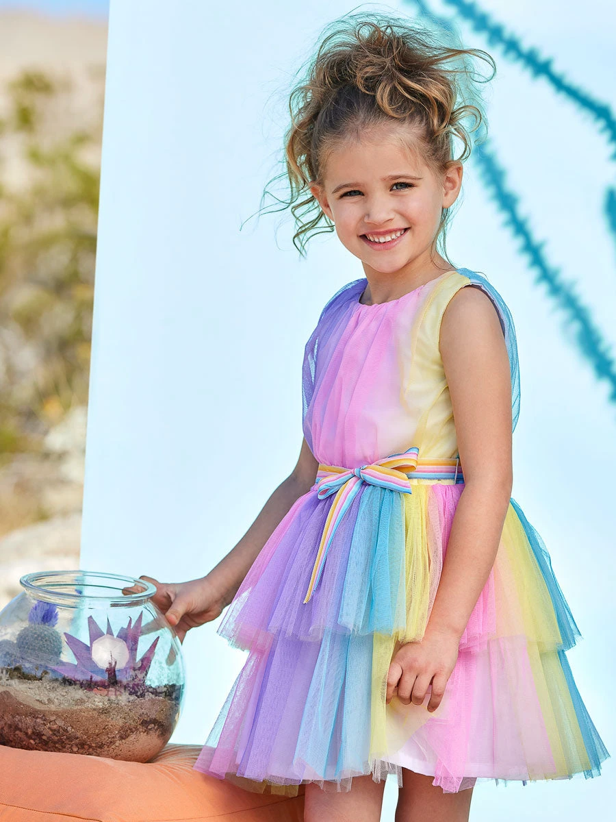 Ombre Tulle Double Tier Dress For Girls